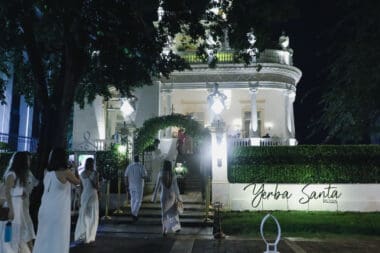 Yerba Santa - Mérida